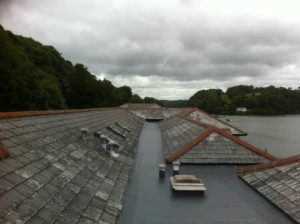 View of trees and skyline from flat waterproofed section between roofs 
