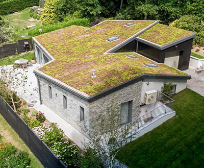 Unique flat-roofed house with green roofing